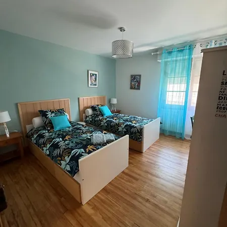 Maison à Lourdes, Avec Jardin *