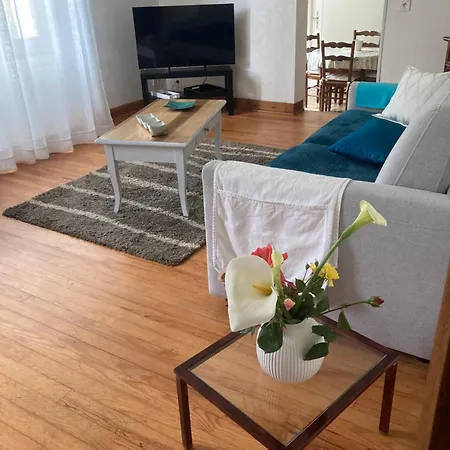 Maison A Lourdes, Avec Jardin *